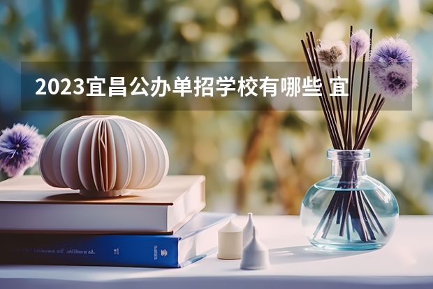2023宜昌公办单招学校有哪些 宜昌公办单招学校名单一览表