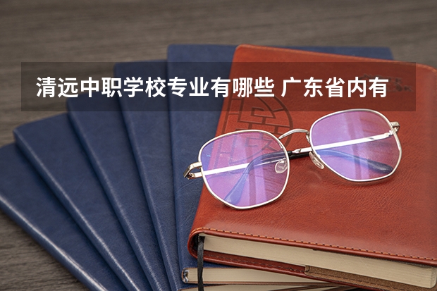 清远中职学校专业有哪些 广东省内有哪所中专比较好的?我想读英语和计算机专业.