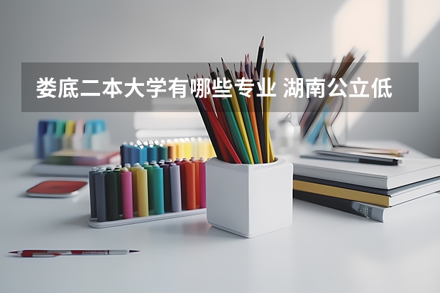 娄底二本大学有哪些专业 湖南公立低分二本大学有哪些