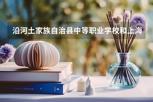 沿河土家族自治县中等职业学校和上海港湾学校哪个好 谁更厉害