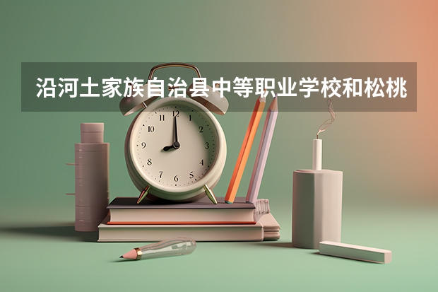 沿河土家族自治县中等职业学校和松桃苗族自治县中等职业学校哪个好 谁更厉害