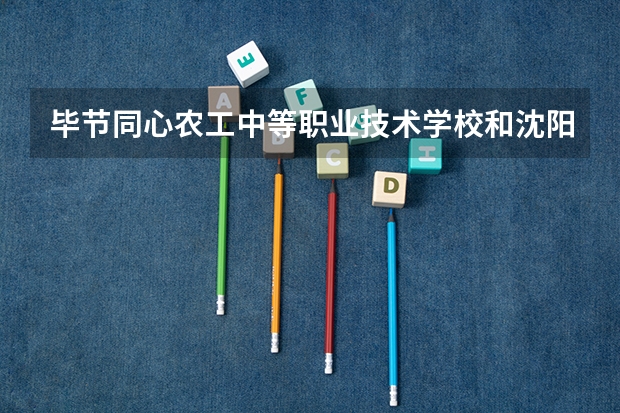 毕节同心农工中等职业技术学校和沈阳市外事服务学校哪个好 谁更厉害