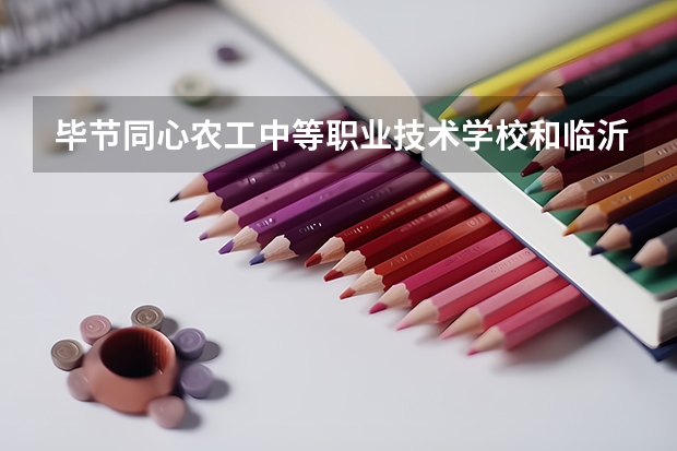 毕节同心农工中等职业技术学校和临沂市工业学校哪个好 谁更厉害