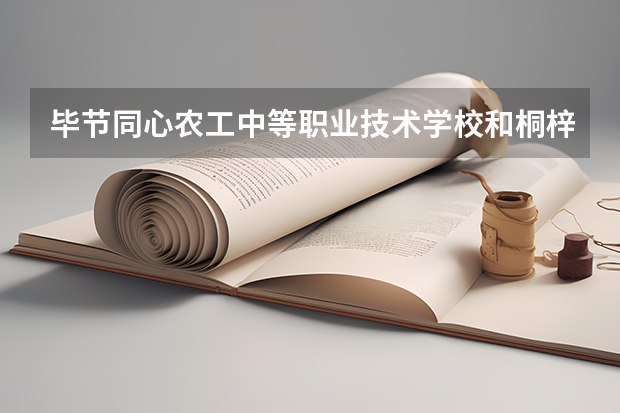 毕节同心农工中等职业技术学校和桐梓县中等职业学校哪个好 谁更厉害
