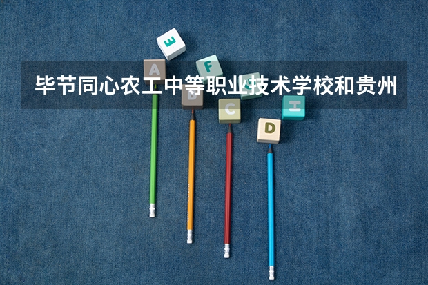 毕节同心农工中等职业技术学校和贵州工业职业技术学院（中职部）哪个好 谁更厉害