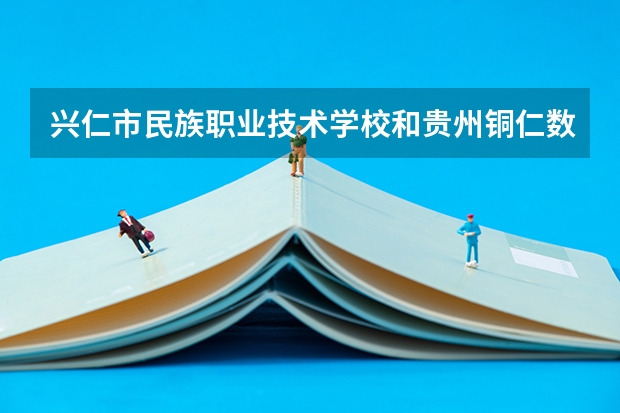 兴仁市民族职业技术学校和贵州铜仁数据职业学院（中职部）哪个好 谁更厉害