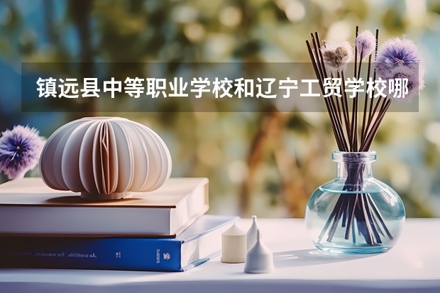 镇远县中等职业学校和辽宁工贸学校哪个好 谁更厉害