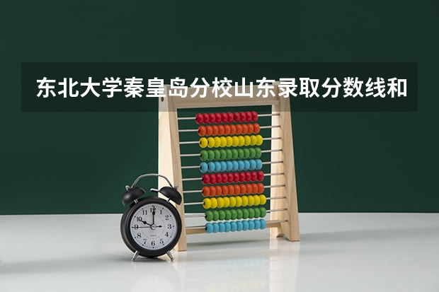 东北大学秦皇岛分校山东录取分数线和招生人数