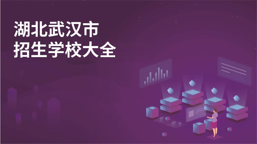 湖北武汉市招生学校大全
