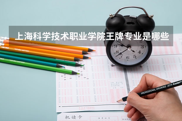 上海科学技术职业学院王牌专业是哪些 上海科学技术职业学院专业推荐