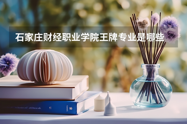石家庄财经职业学院王牌专业是哪些 石家庄财经职业学院专业推荐
