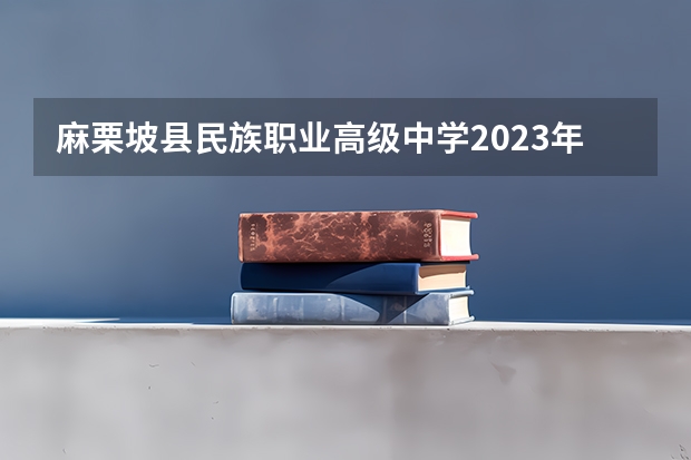 麻栗坡县民族职业高级中学2023年招生简章 麻栗坡县民族职业高级中学2023招生人数