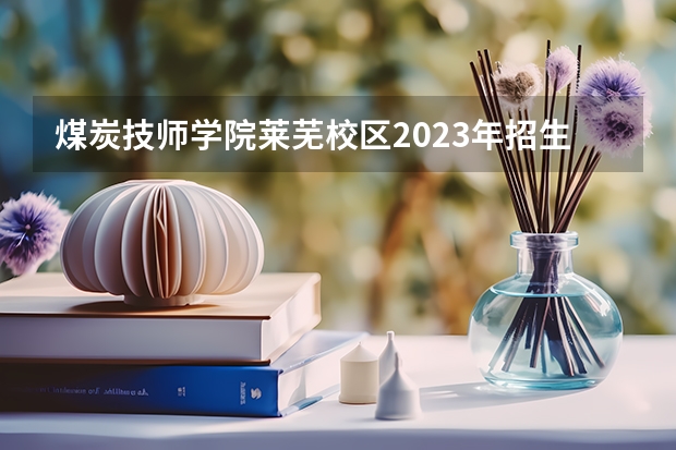 煤炭技师学院莱芜校区2023年招生简章 煤炭技师学院莱芜校区2023招生人数