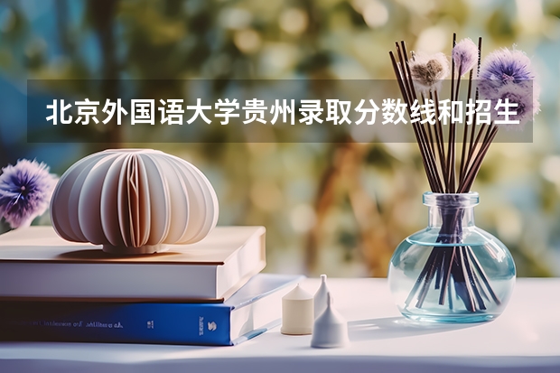 北京外国语大学贵州录取分数线和招生人数