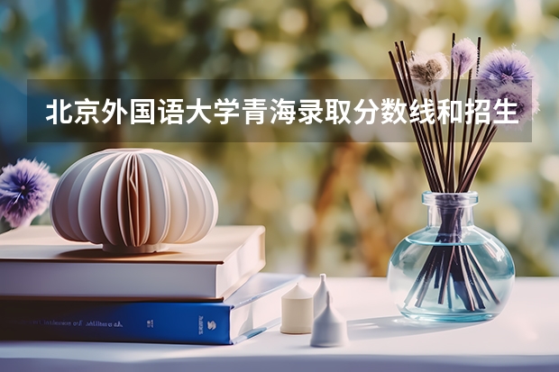 北京外国语大学青海录取分数线和招生人数
