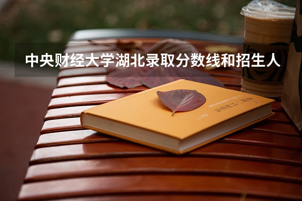 中央财经大学湖北录取分数线和招生人数