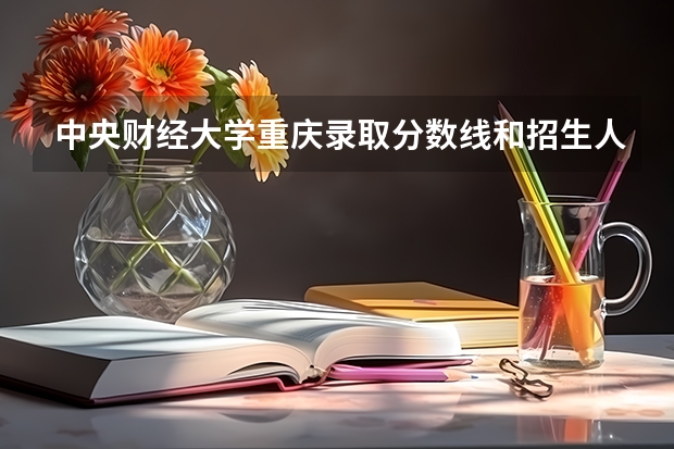 中央财经大学重庆录取分数线和招生人数