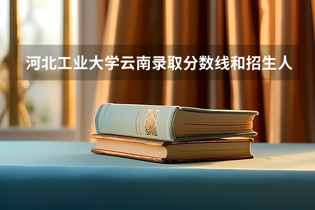 河北工业大学云南录取分数线和招生人数