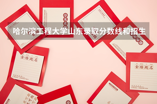 哈尔滨工程大学山东录取分数线和招生人数