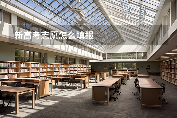 新高考志愿怎么填报