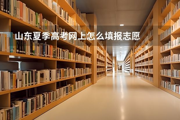 山东夏季高考网上怎么填报志愿