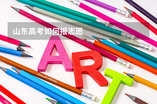 山东高考如何报志愿