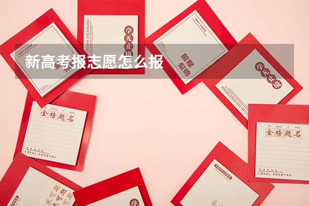 新高考报志愿怎么报