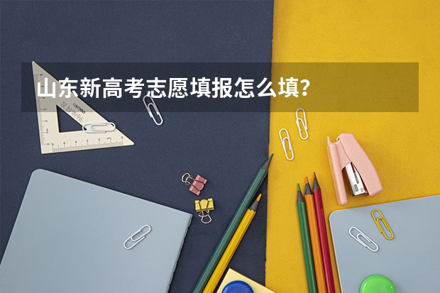 山东新高考志愿填报怎么填？