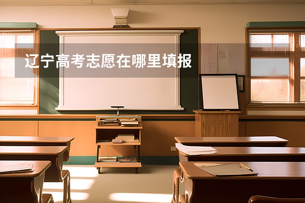 辽宁高考志愿在哪里填报