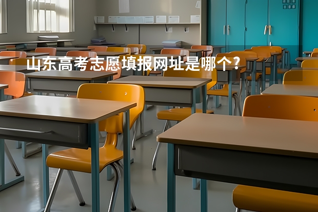 山东高考志愿填报网址是哪个?