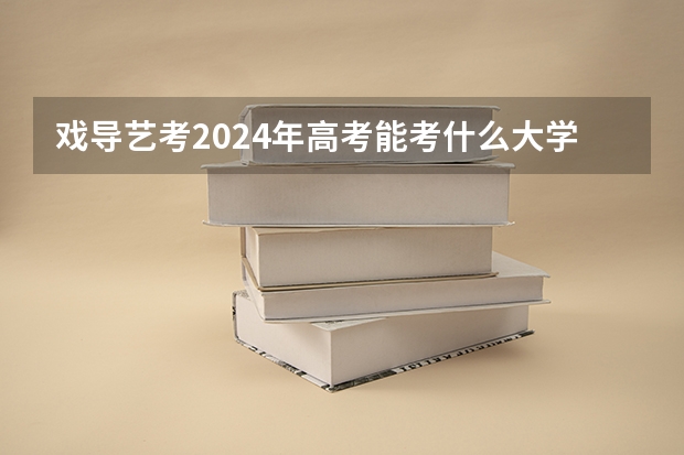 戏导艺考2024年高考能考什么大学？
