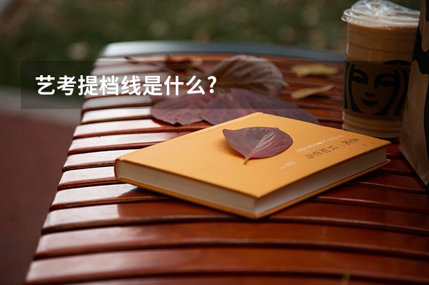 艺考提档线是什么?