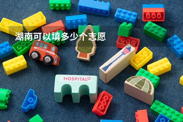 湖南可以填多少个志愿