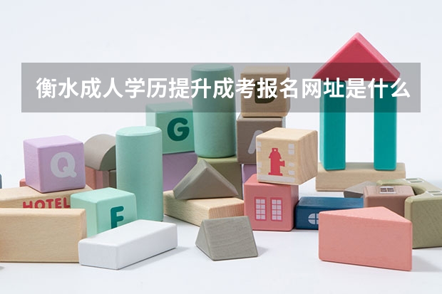 衡水成人学历提升成考报名网址是什么？