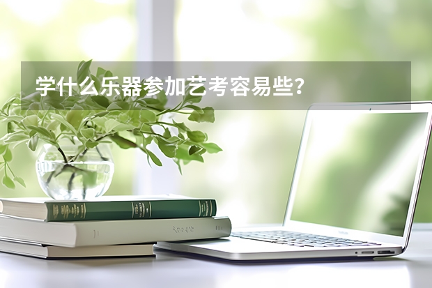学什么乐器参加艺考容易些？