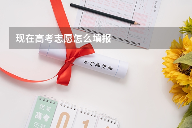 现在高考志愿怎么填报