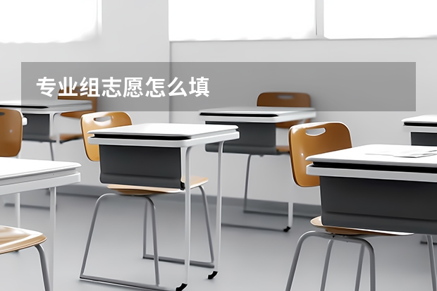 专业组志愿怎么填