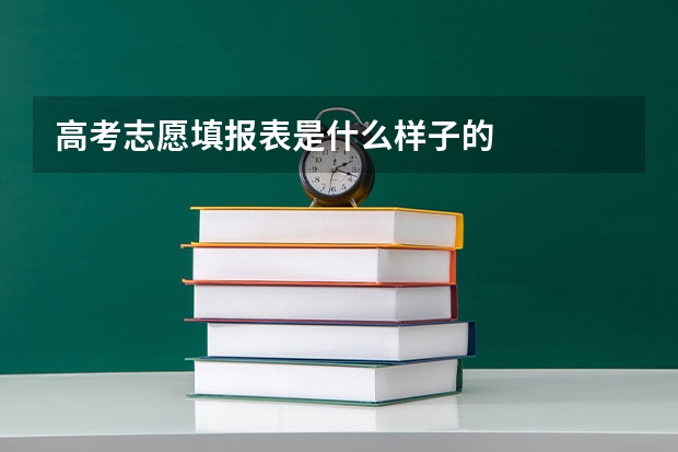 高考志愿填报表是什么样子的