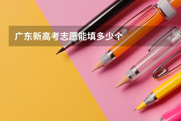 广东新高考志愿能填多少个