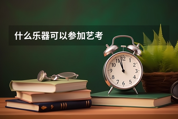 什么乐器可以参加艺考