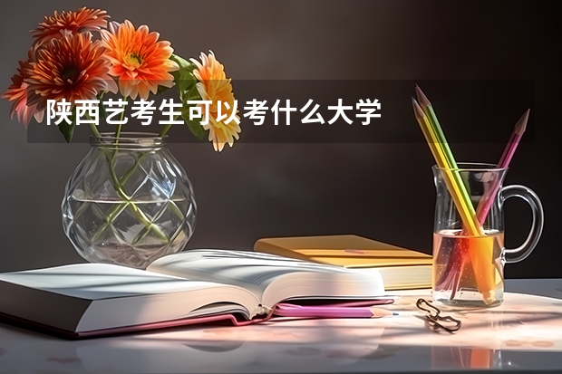 陕西艺考生可以考什么大学