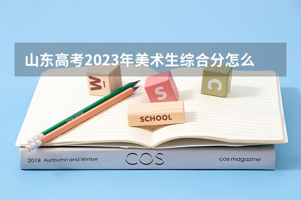 山东高考2023年美术生综合分怎么算