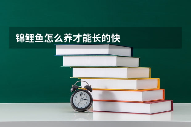 锦鲤鱼怎么养才能长的快