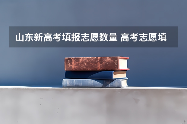 山东新高考填报志愿数量 高考志愿填报能填几个