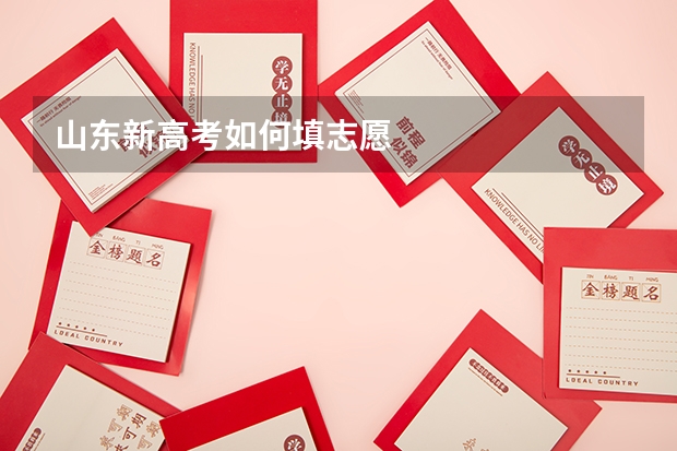 山东新高考如何填志愿