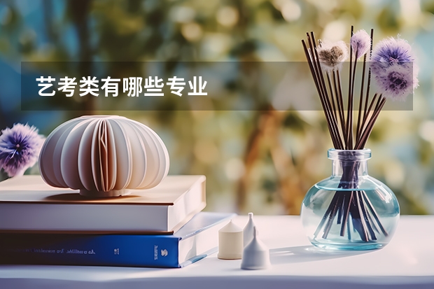 艺考类有哪些专业