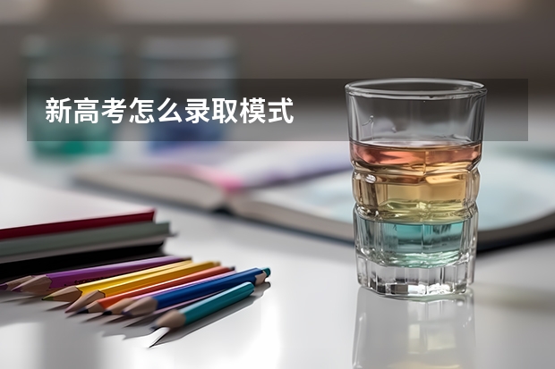 新高考怎么录取模式