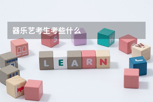 器乐艺考生考些什么