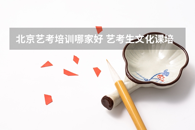 北京艺考培训哪家好 艺考生文化课培训学校哪家好