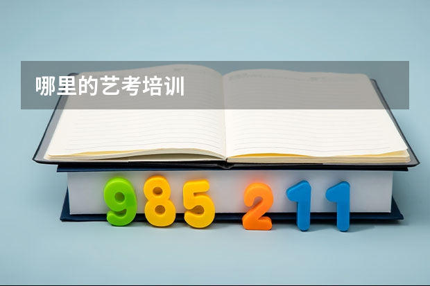哪里的艺考培训